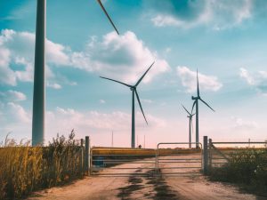 The role of policy in advancing renewable energy adoption